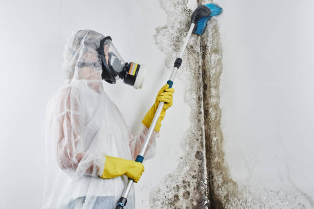 Best Residential Mold Removal  in Fairplains, NC
