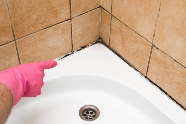 Home Mold Removal in Fairplains, NC